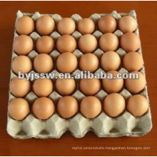 30 Cell Paper Pulp Egg Tray